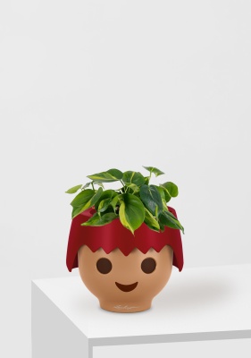 Филодендрон Бразил OJO 25 см, Красный матовый