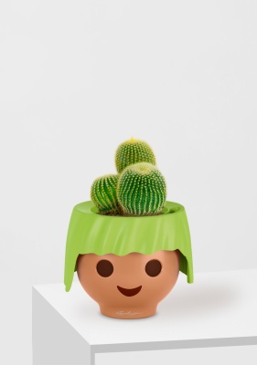 Кактус Пародия Ленингхауза 12/20 см в OJO, зеленый