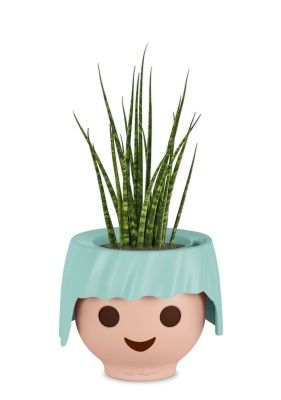 Сансевиерия Фернвуд в OJO, голубой Сансевиерия Фернвуд в OJO, голубой