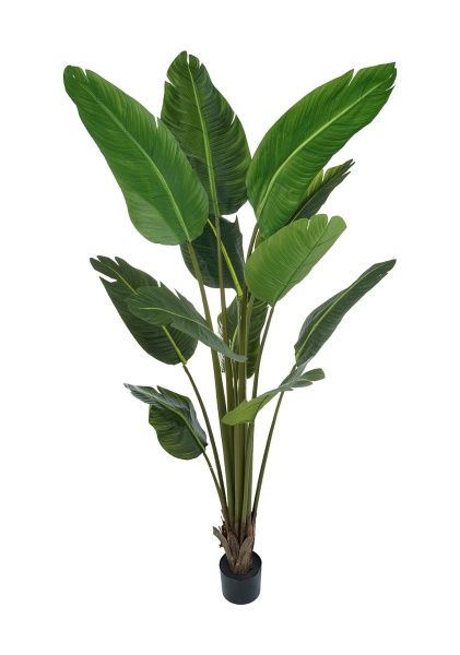 Растение искусственное в кашпо "Стрелиция", H180 см, 12 веток