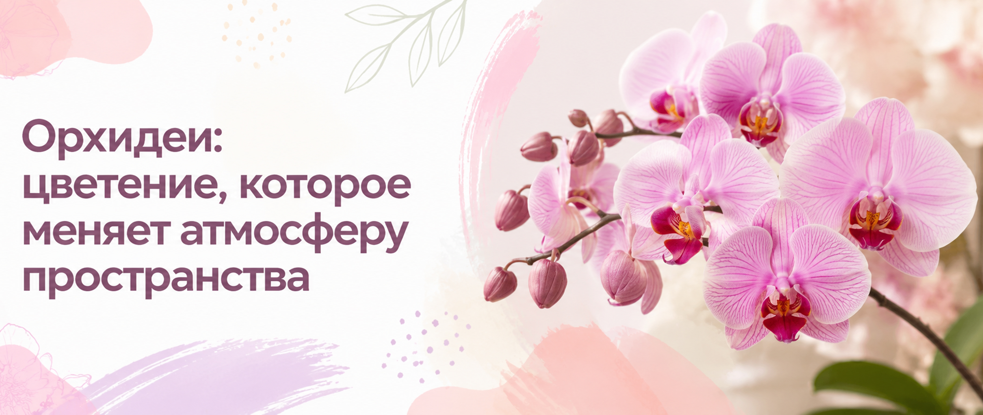 Орхидеи в техническом горшке