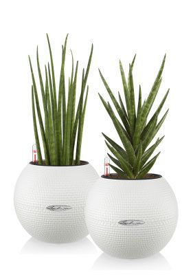 "Набор для рабочего стола" Цилиндрика PURO/40 см, белый (2 шт.)