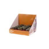 Литопс микс d5.5 см h25 см