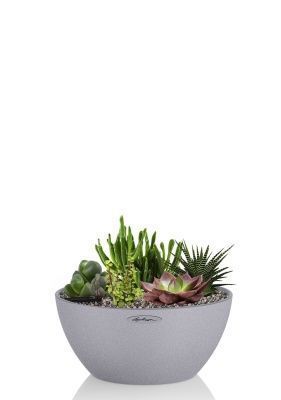 Композиция с суккулентами в CUBETO Stone 30, серый камень