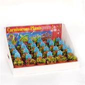 Венерина мухоловка Дионея d8.5 см h10 см тип 4