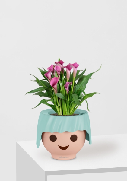 Калла микс 12/35 см в OJO