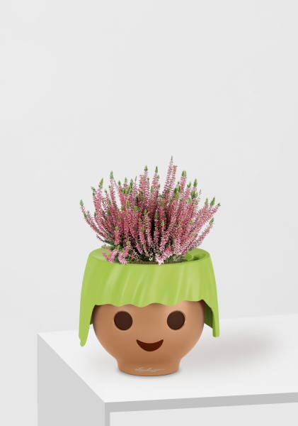 Вереск (Эрика) розовый в OJO