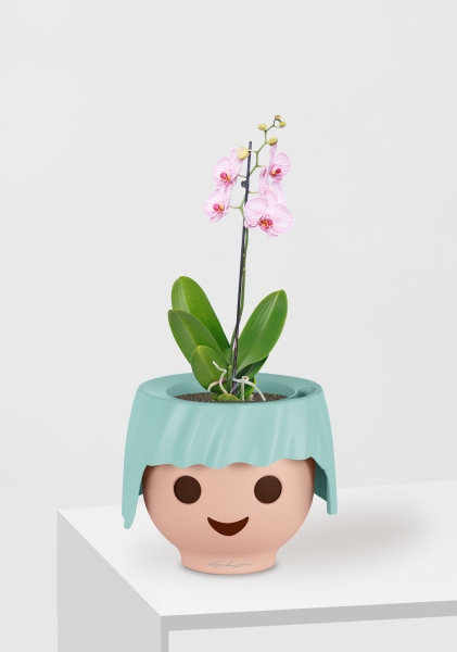 Орхидея Фаленопсис светло-розовая 12/60 см в OJO