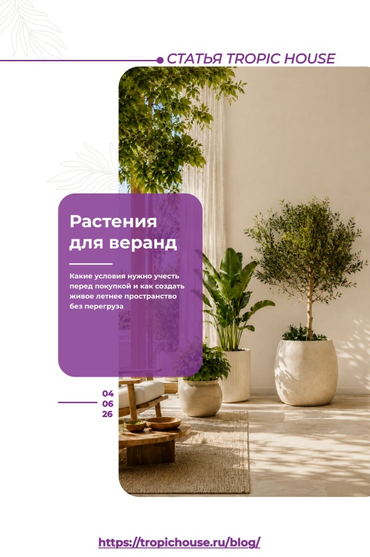 Растения для веранды, балкона и лоджии: как выбрать живое озеленение на лето