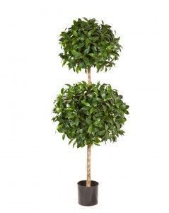 Лавр Шар двойной Де Люкс