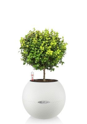 Мирсина в PURO 20, белый