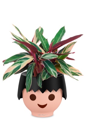 Строманта 12/40 см в OJO, черный Строманта 12/40 см в OJO, черный