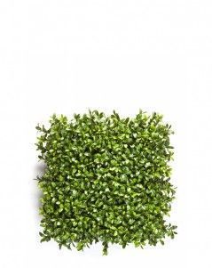 Коврик Самшитовый Новый