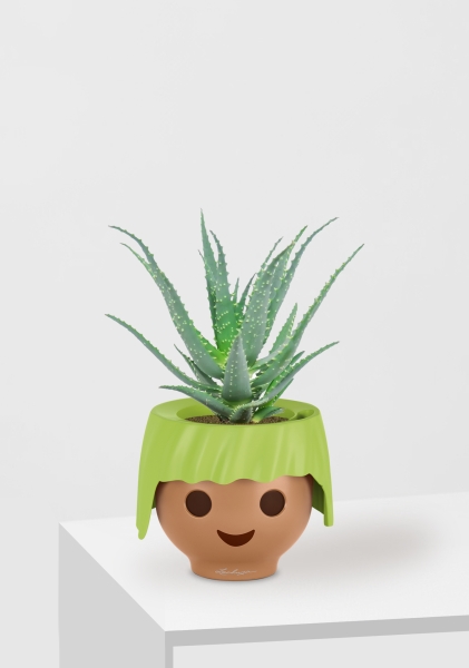 Алоэ 12/30 см в OJO