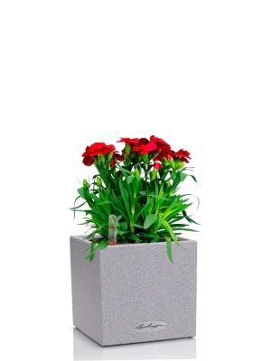 Гвоздика Оскар 12/25 см в CANTO STONE 14, серый камень