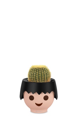 Эхинокактус Грузони 7/8 см в OJO Эхинокактус Грузони 7/8 см в OJO