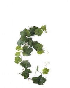 Виноградная гирлянда зелёная