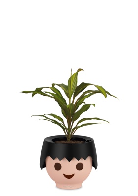 Кордилина Киви 12/35 см в OJO, черный