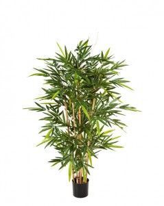 Бамбук Новый