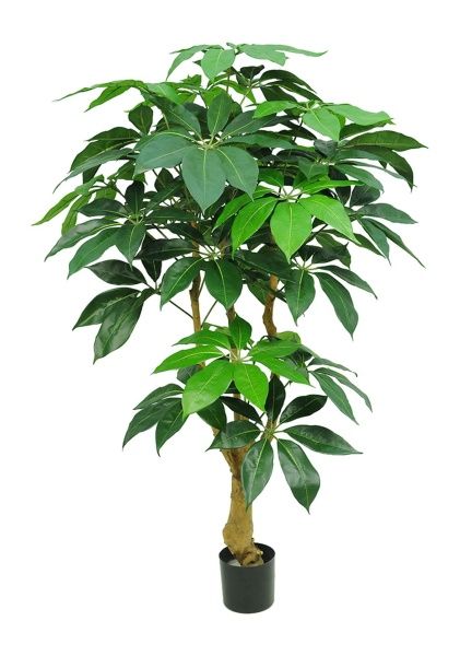 Дерево искусственное в кашпо "Шеффлера", Н175 см, 234 листа