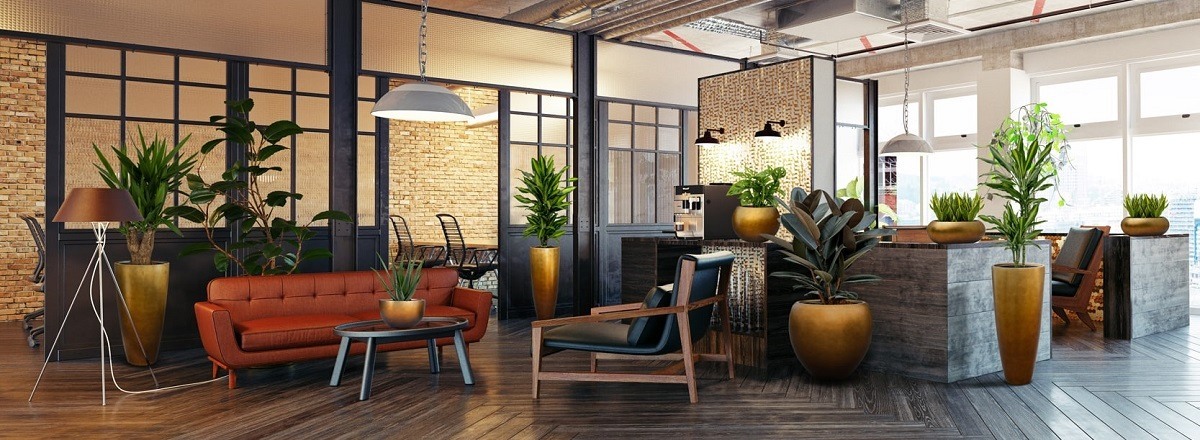 Растения в интерьере отеля: как создать эффект уюта и статуса Растения в интерьере отеля: как создать эффект уюта и статуса