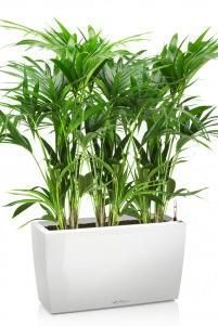 Ховея CARARO 75/140 см, Белый блестящий