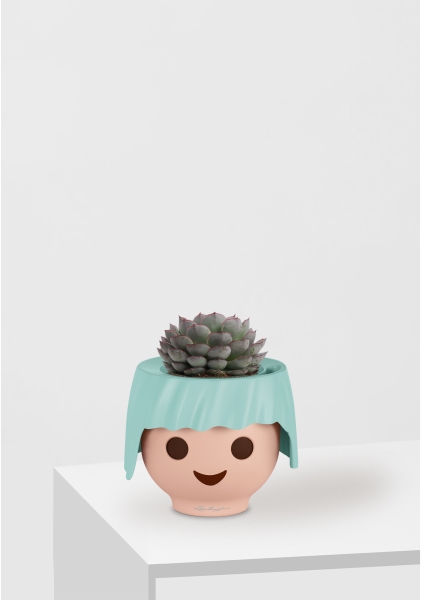 Эхеверия микс 10 см в OJO Эхеверия микс 10 см в OJO