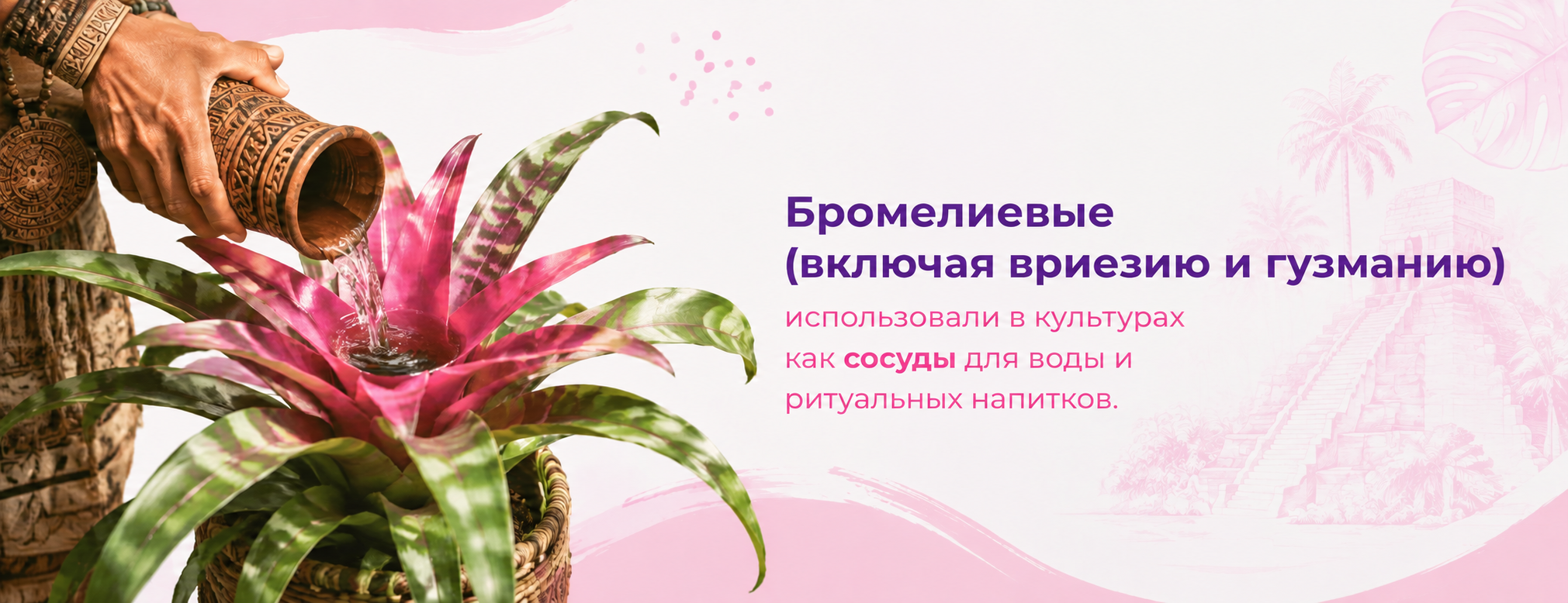 межстраничный цветущие 3 межстраничный цветущие 3