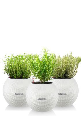 "Набор для кухни" Пряные травы PURO 20/30 см, белый (3 шт.)