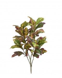 Кротон куст большой зелёно-жёлто-розовый