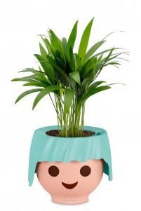 Хризалидокарпус в OJO 40 см Хризалидокарпус в OJO 40 см