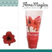 Гиппеаструм Kolibri Top Choice Flora Magica d9 см h15 см Гиппеаструм Kolibri Top Choice Flora Magica d9 см h15 см