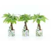 Пахира Акватика In Jungle Ceramic d14 см h50 см Пахира Акватика In Jungle Ceramic d14 см h50 см