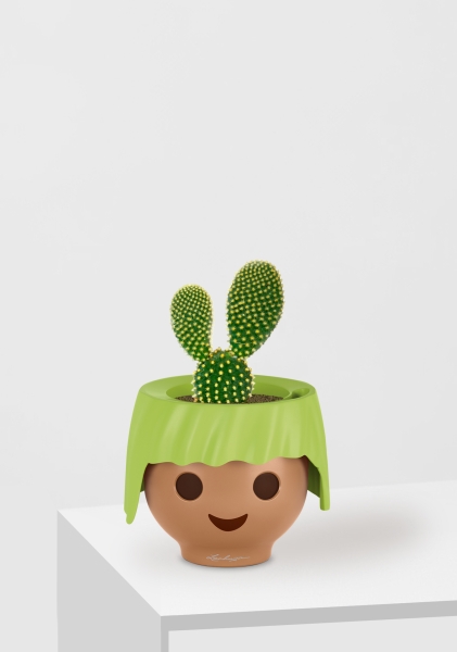 Опунция Мелковолосистая Паллида 6/12 см в OJO Опунция Мелковолосистая Паллида 6/12 см в OJO