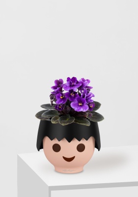 Фиалка микс 12/25 см в OJO