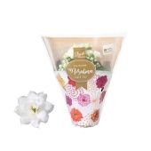 Каланхоэ Rosalina Don Dione d7 см h15 см Каланхоэ Rosalina Don Dione d7 см h15 см