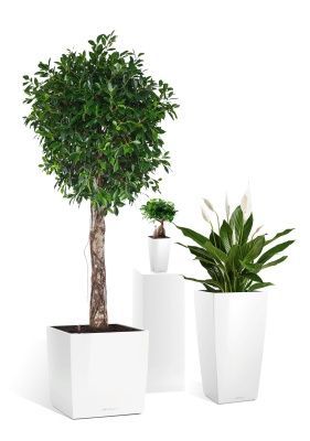 Набор "В кабинет руководителя", белый блестящий