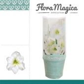 Гиппеаструм белый Flora Magica 1 ствол d13 см h25 см Гиппеаструм белый Flora Magica 1 ствол d13 см h25 см