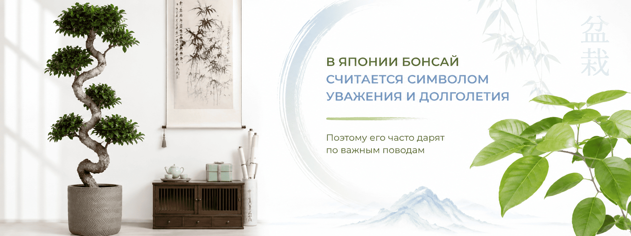 бонсай межстраничный 2 бонсай межстраничный 2