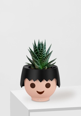 Алоэ Тики Таки 10/20 см в OJO