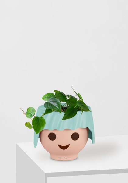 Филодендрон Сканденс 12/20 см в OJO