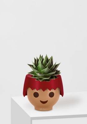 Алоэ Космо OJO 25 см, Красный матовый