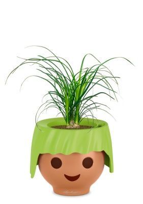 Нолина 3 луковицы 12/30 см в OJO,зеленый