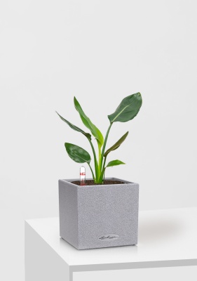 Стрелиция Николай в CANTO STONE 14, серый камень