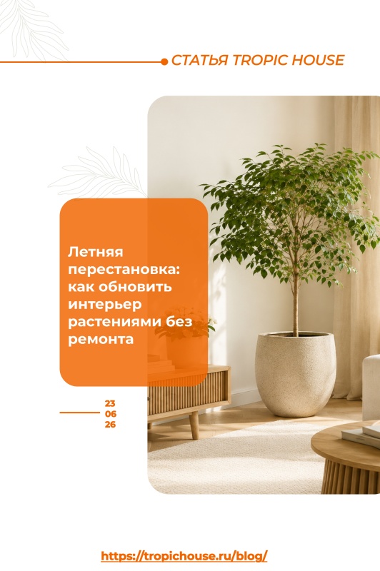 Летняя перестановка: как обновить интерьер растениями без ремонта