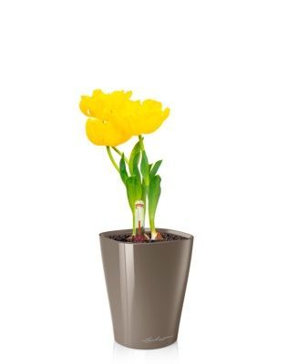 Тюльпан 7/15 см в MINI DELTINI 10, серо-коричневый блестящий Тюльпан 7/15 см в MINI DELTINI 10, серо-коричневый блестящий