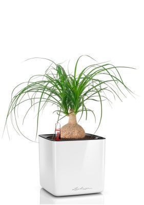 Нолина Спутник 15/30 см в CUBE GLOSSY 16, белый блестящий