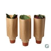 Калатея микс в крафтовом пакете d21 см h55 см