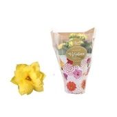 Каланхоэ Rosalina Don Amarillo желтый d7 см h15 см Каланхоэ Rosalina Don Amarillo желтый d7 см h15 см