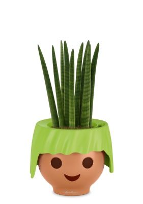 Сансевиерия Цилиндрика Спагетти 12/40 см в OJO, зеленый Сансевиерия Цилиндрика Спагетти 12/40 см в OJO, зеленый